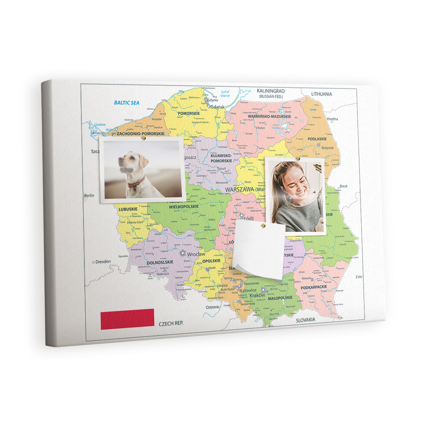 Tablica korkowa 60x40 cm do sypialni   pinezki Mapa