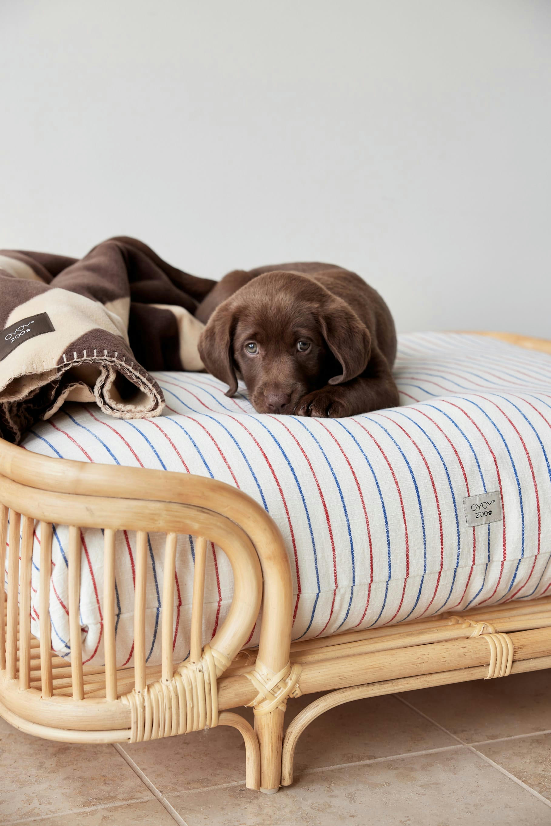 KAYA - Couverture pour chien marron en polester H180x205cm