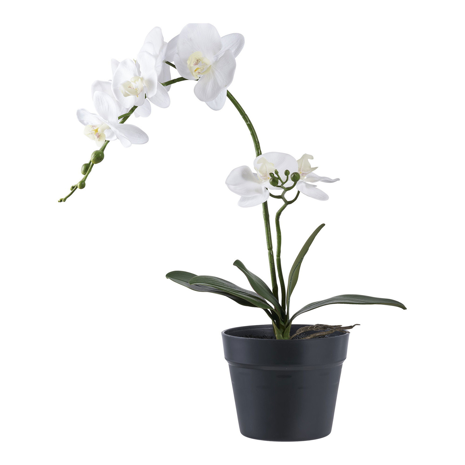Sztuczna roślina Orchidea biała o wysokości 49 cm z tworzywa