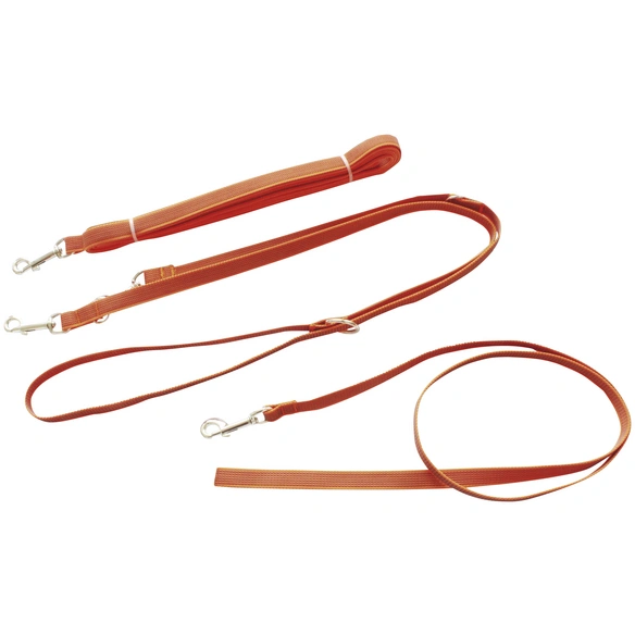 Hundeleine, Modern Art, 5m, Gurtband, Orange