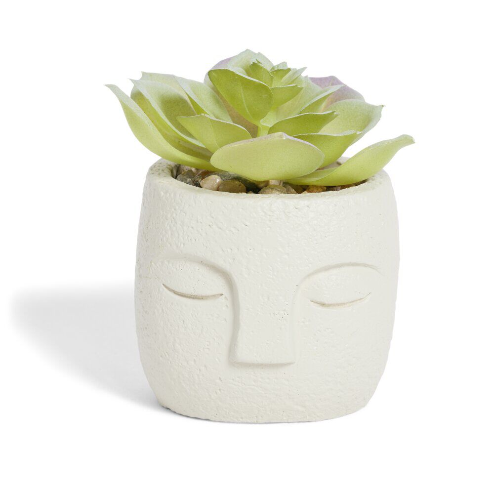 Plante artificielle pot ciment forme visage Ø6,5xH9cm (plusieurs modèles)