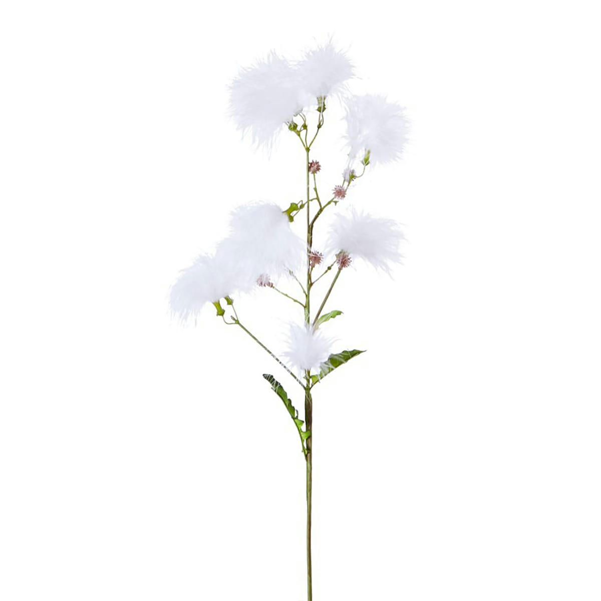 - Tige de fustet commun H63