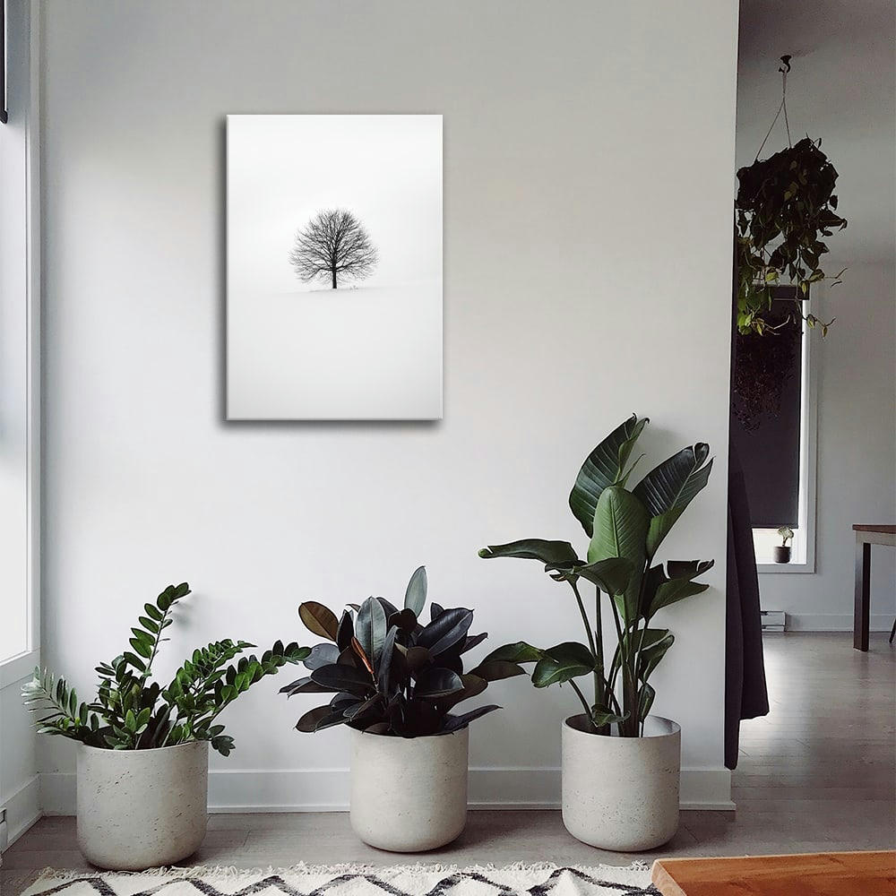 - Tableau impression sur toile hiver blanc 60x90cm