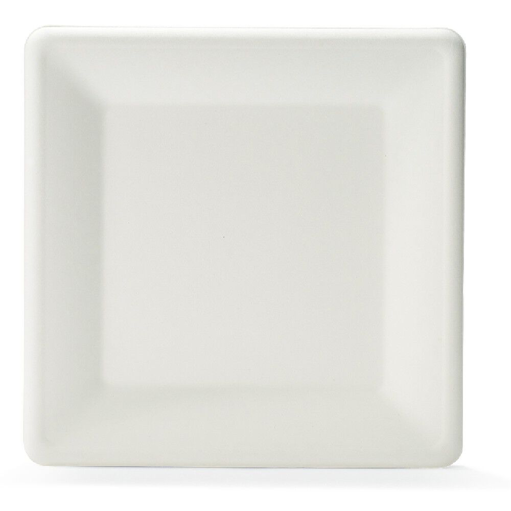 Lot de 12 assiettes plates carrées en canne à sucre