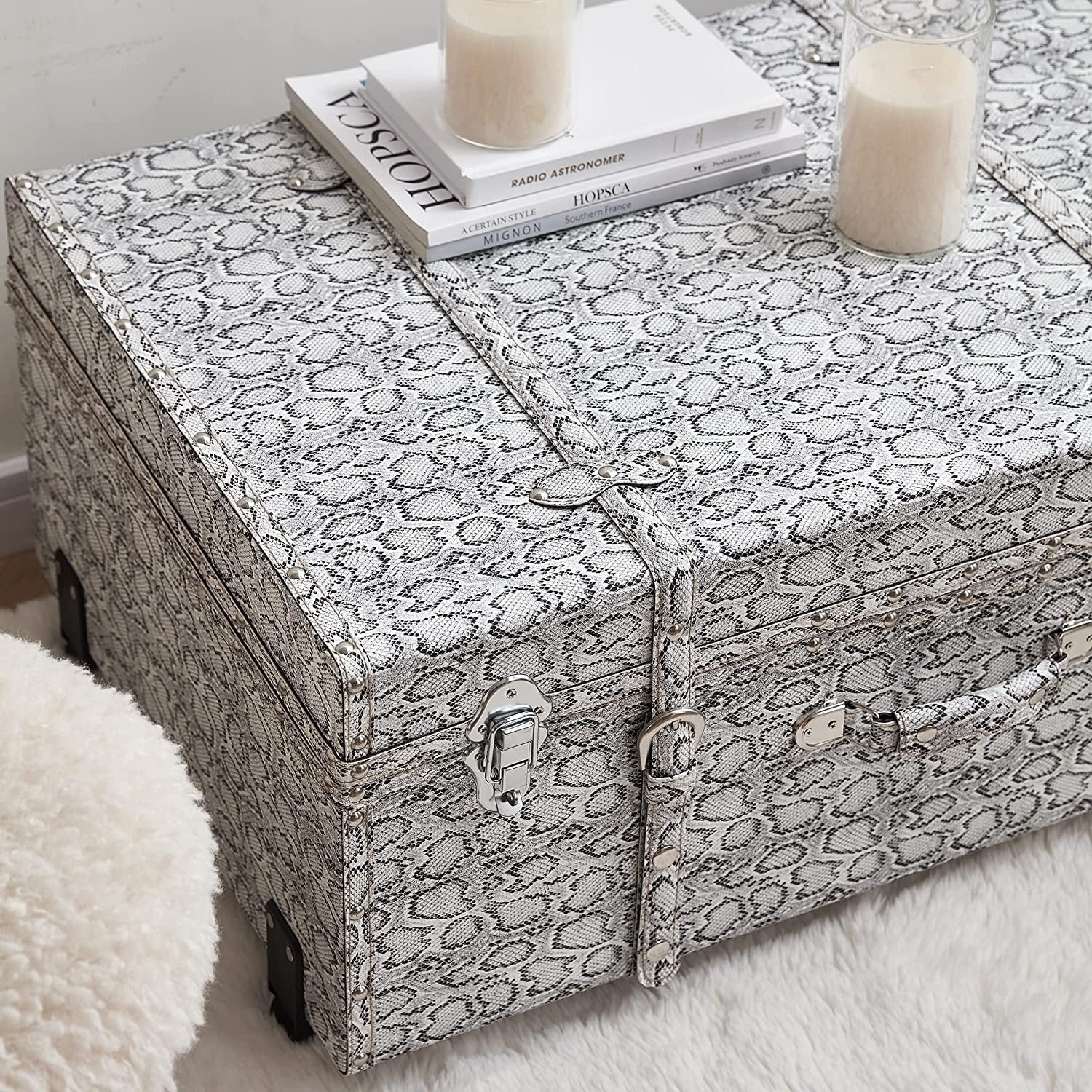 Texture® Brand Trunk - Faux Snakeskin by DormCo - 29L x 20W x 14H