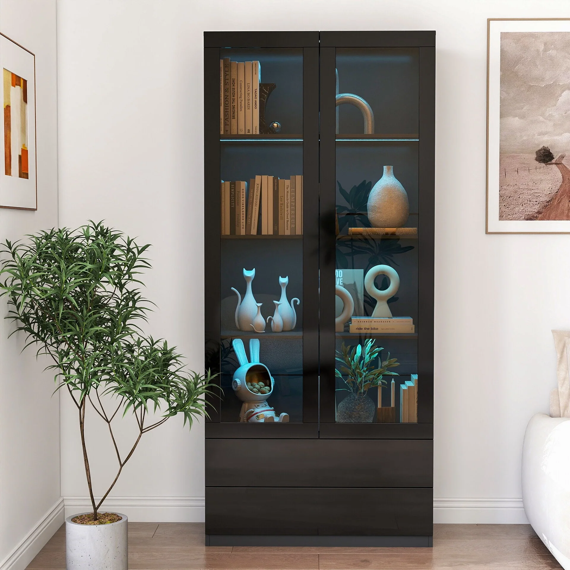 Black Display Cabinet with Glass Doors