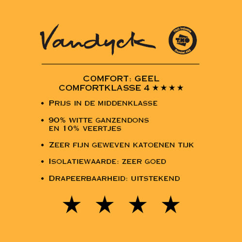 Vandyck Astro 90 4-seizoenen Dekbed 200 x 200 cm