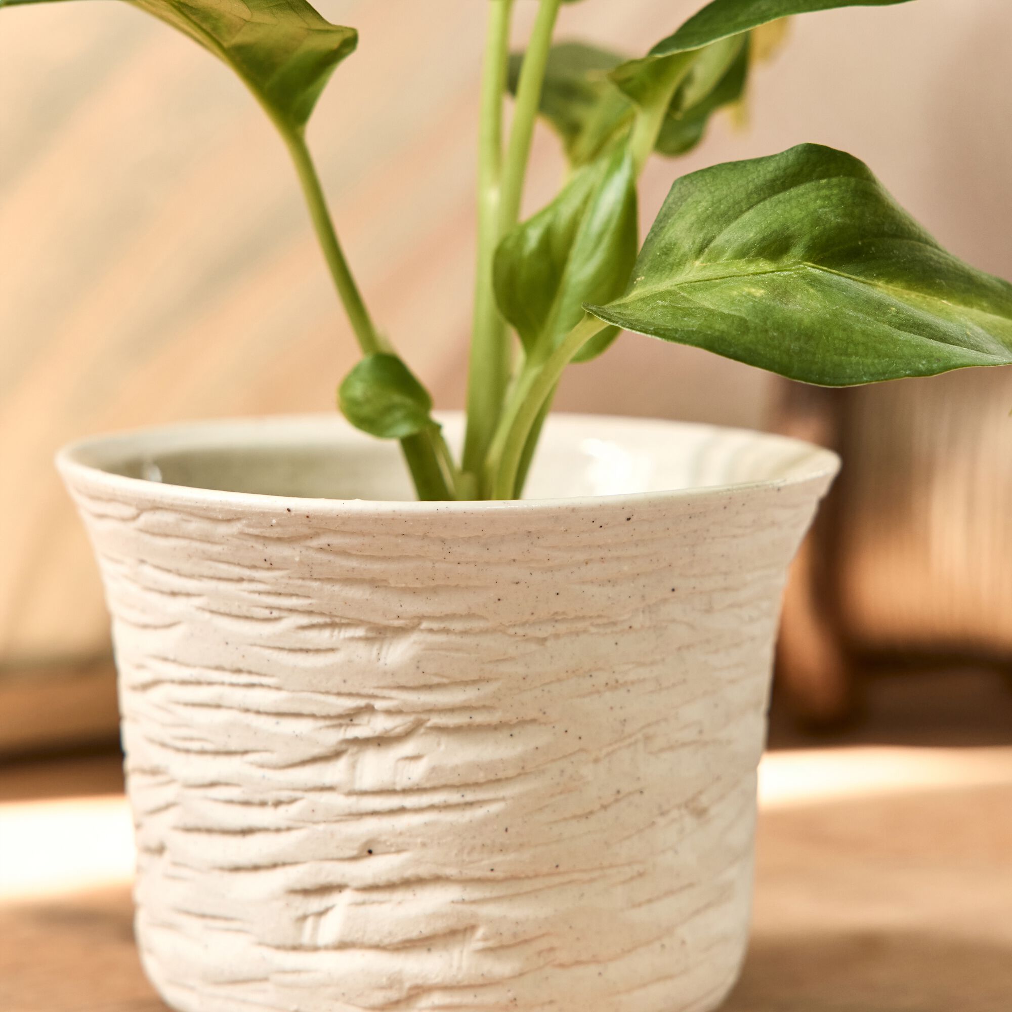 STUDEN - Petit vase en grès strié H7,8cm - blanc