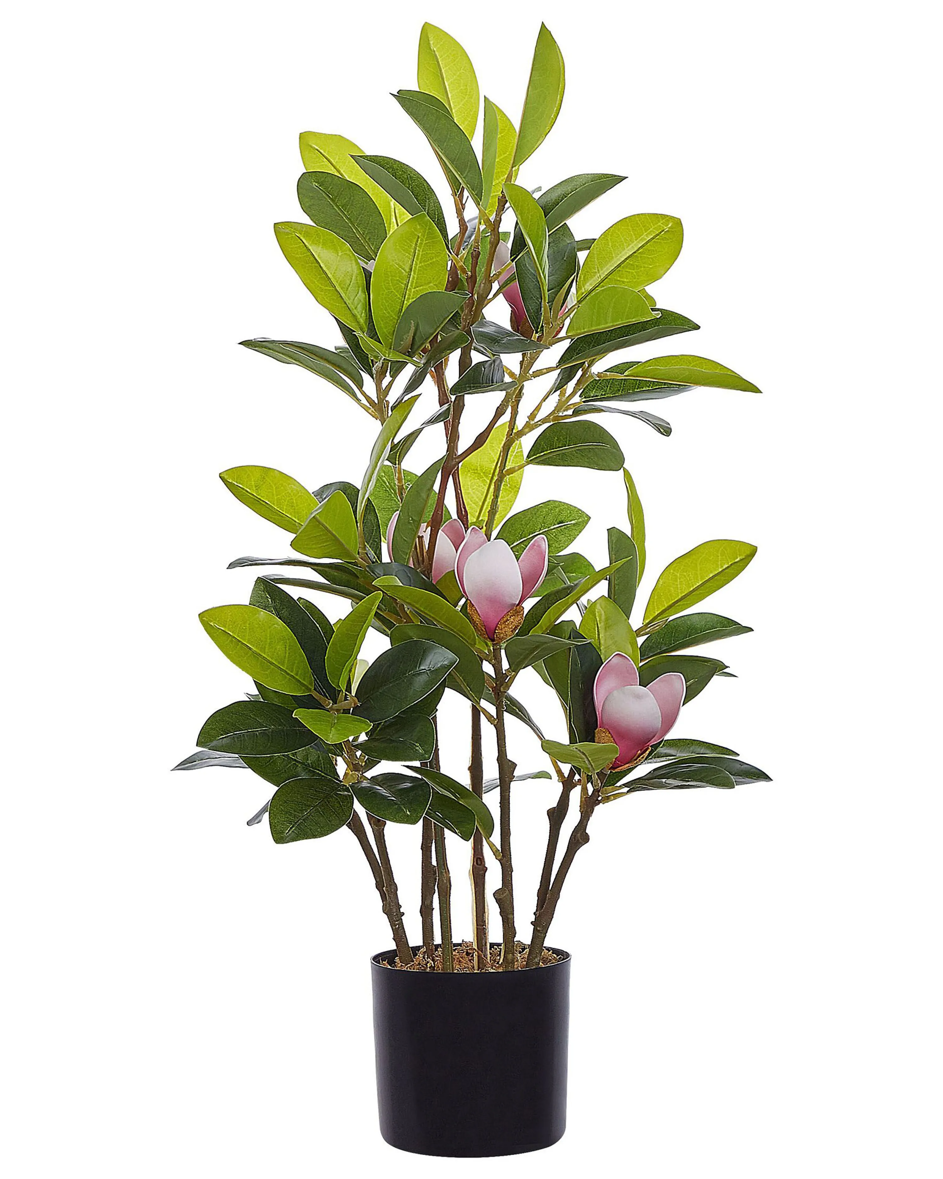 Artificial Plant MAGNOLIA 70 cm Green