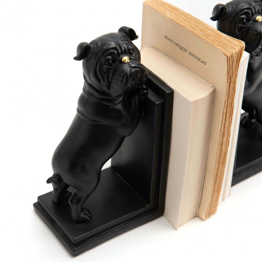 - Serre livre Bulldog en résine  noir