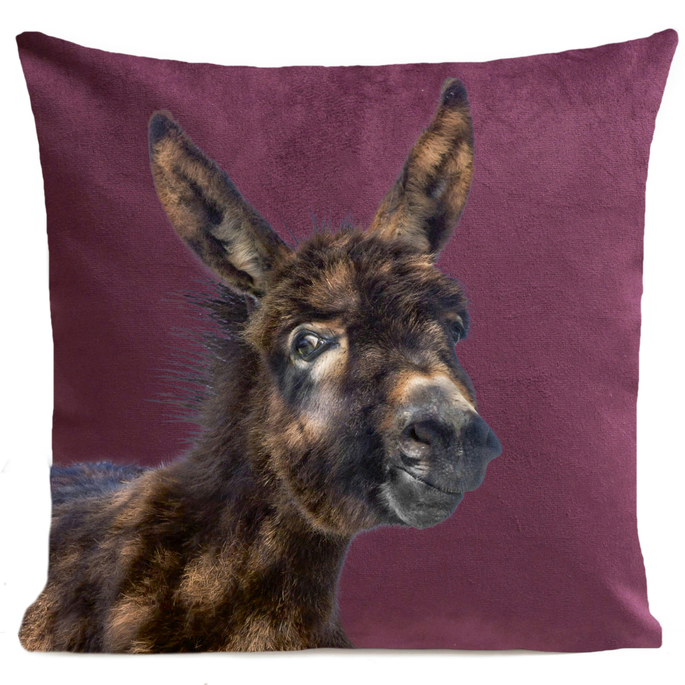 - Coussin animal âne suédine violet 40x40cm