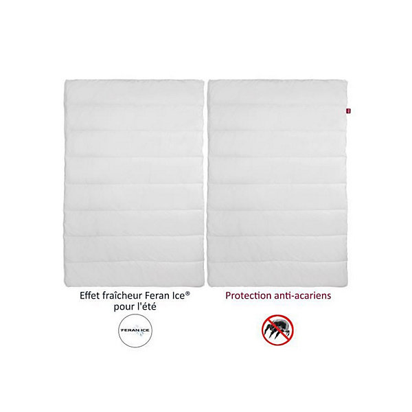 ABEIL Couette 4 Saisons ANTI-ACARIENS 240x260cm