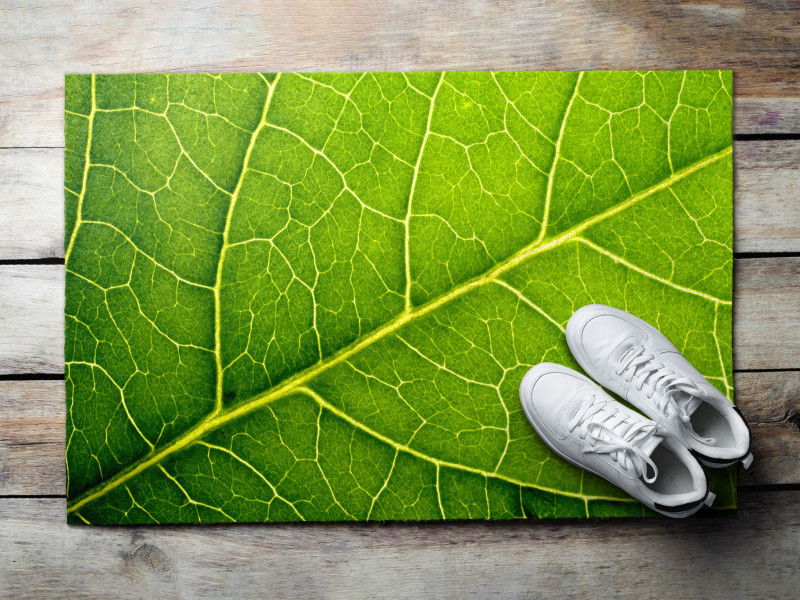 Wycieraczka wewnętrzna 60x40 Liść zielona monstera mata Tulup