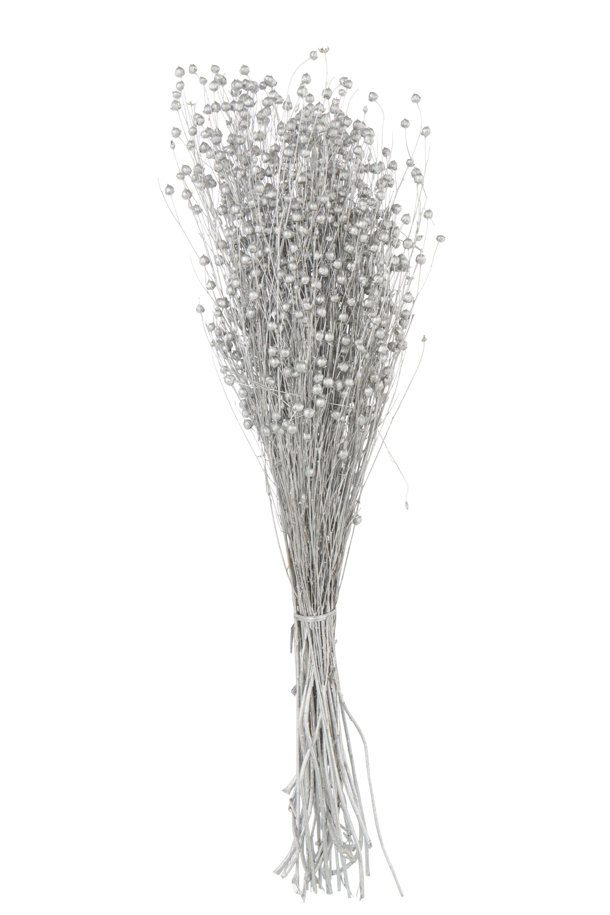 J-Line decoratie tak droogbloemen - riet - zilver