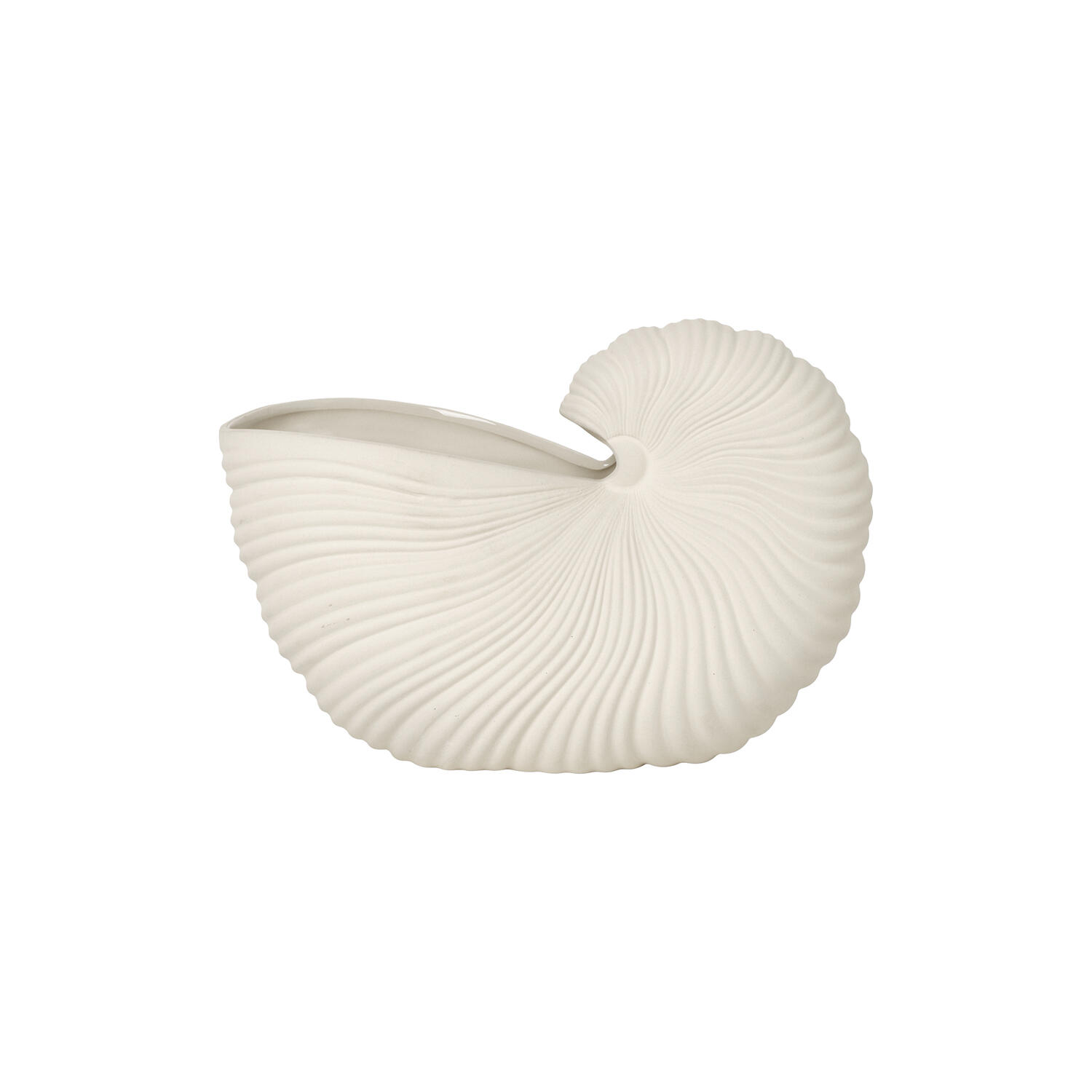 Shell Vase, off white