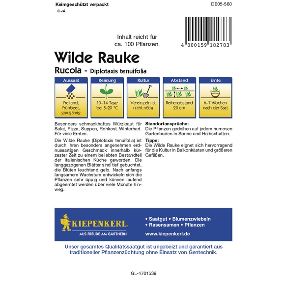 Wilde Rauke, Diplotaxis tenuifolia, Inhalt reicht für ca. 100 Pflanzen