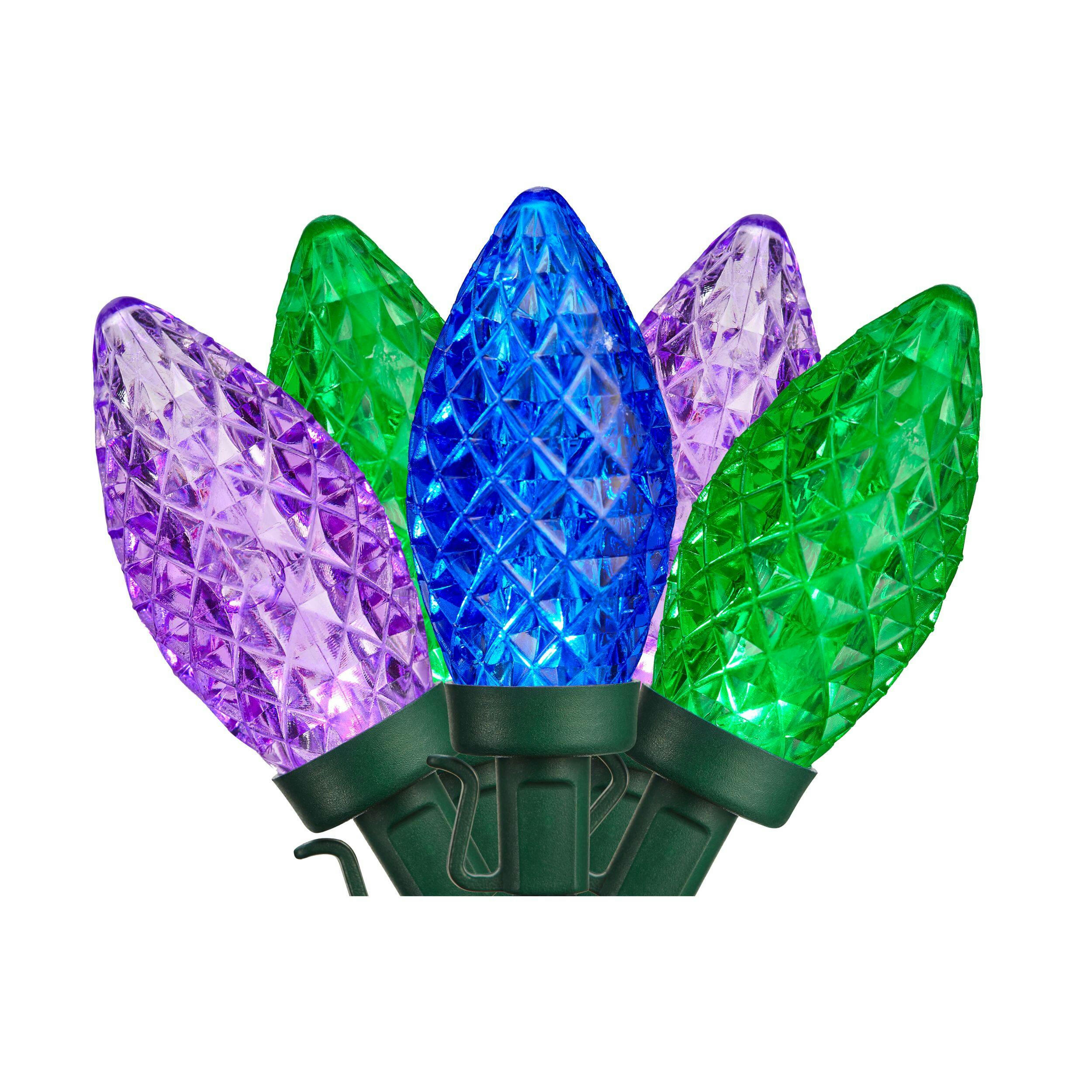 NOMA Outdoor 24 C9 LED Lights, Purple/Blue/Green