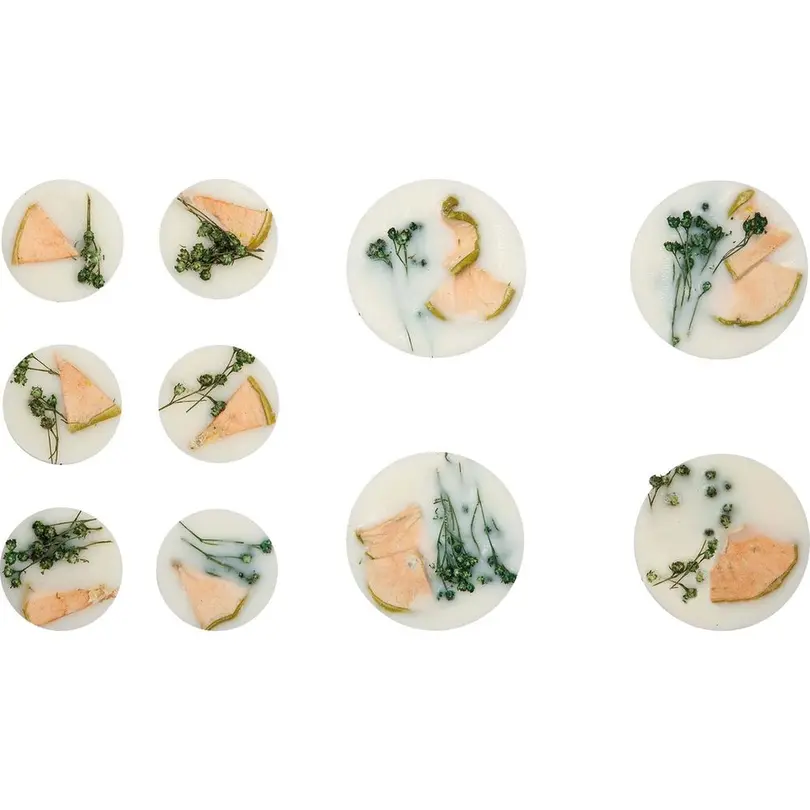 Wachs-Pod 10er-Set Earth
