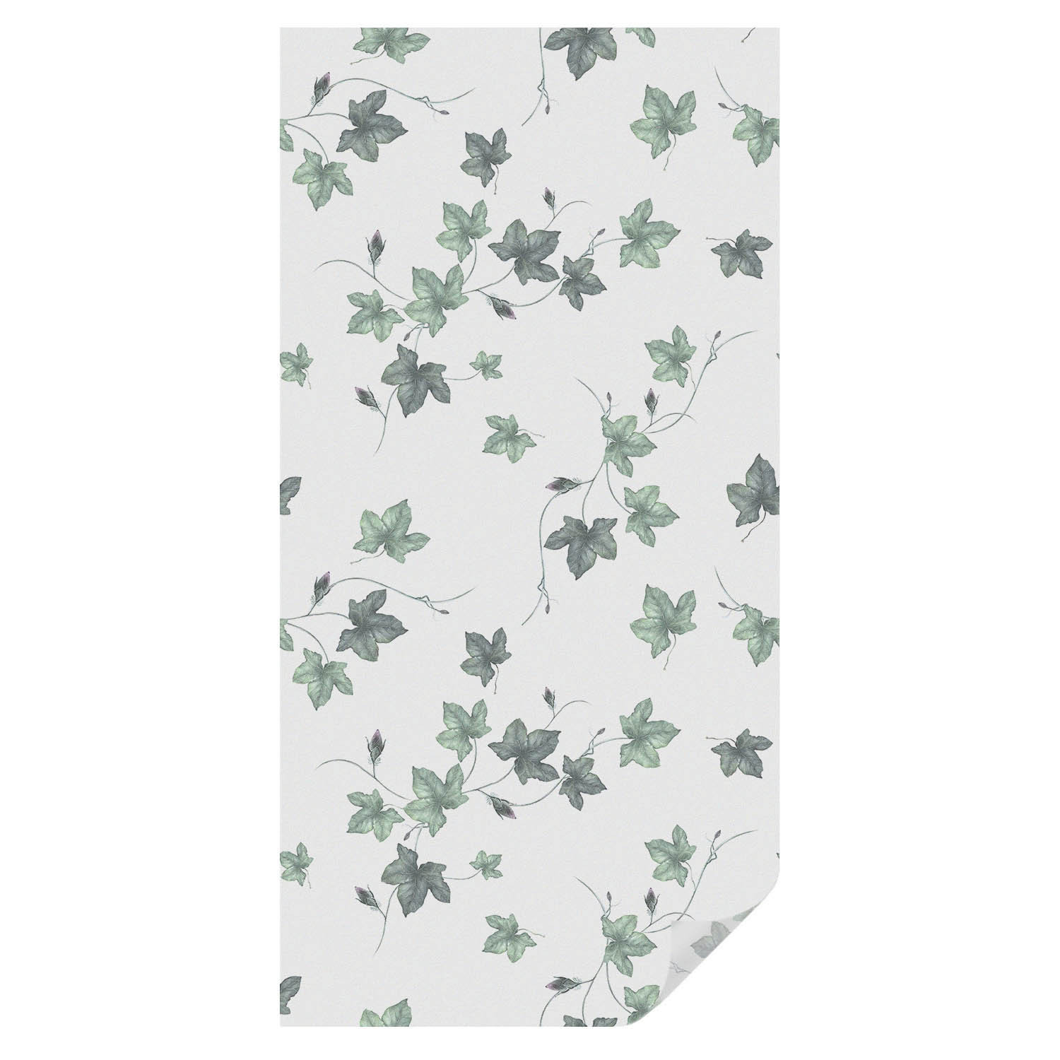 Folia dekoracyjna Zielone pnącze ochrona prywatności 50x100 Tulup