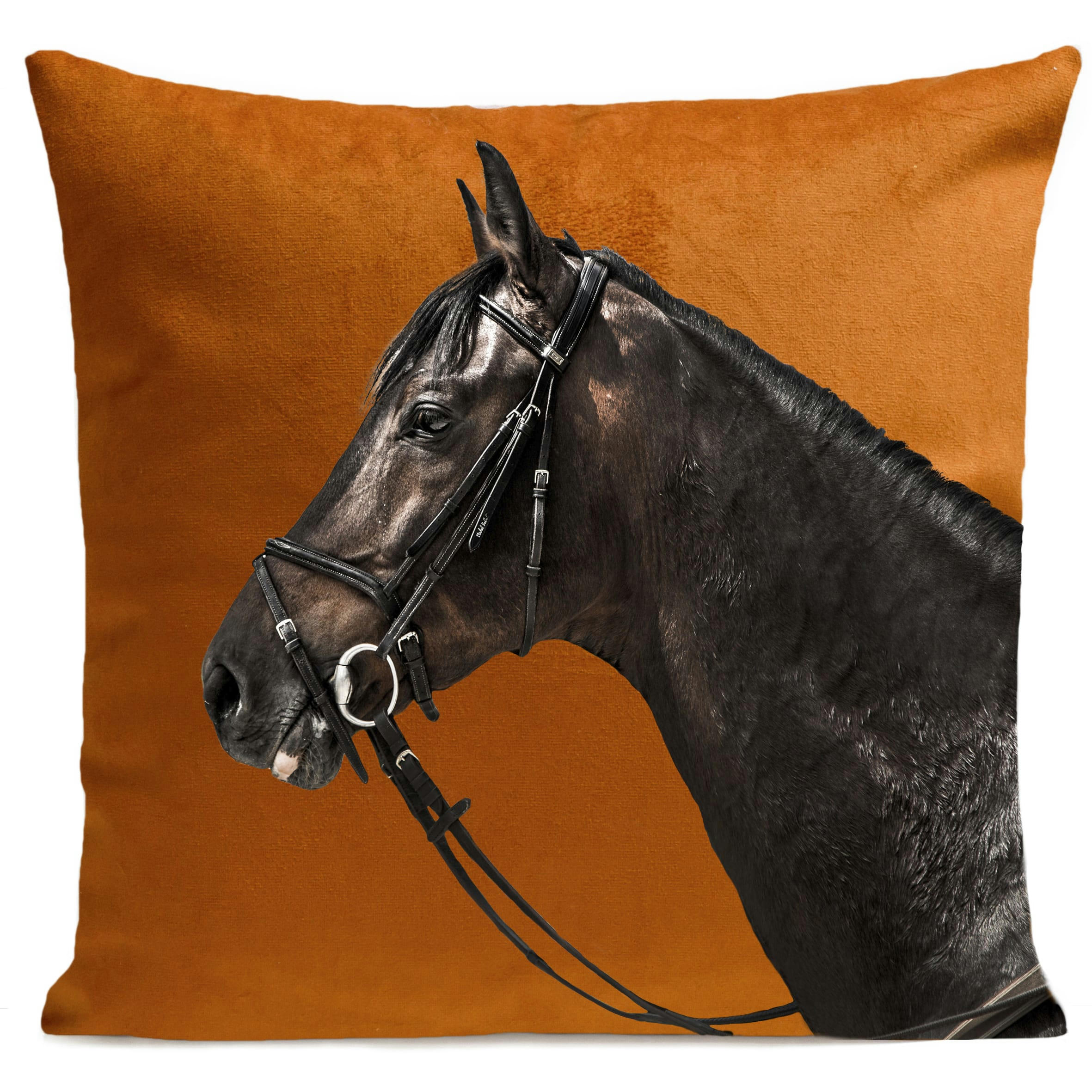 - Coussin animal cheval orange suédine 40x40cm