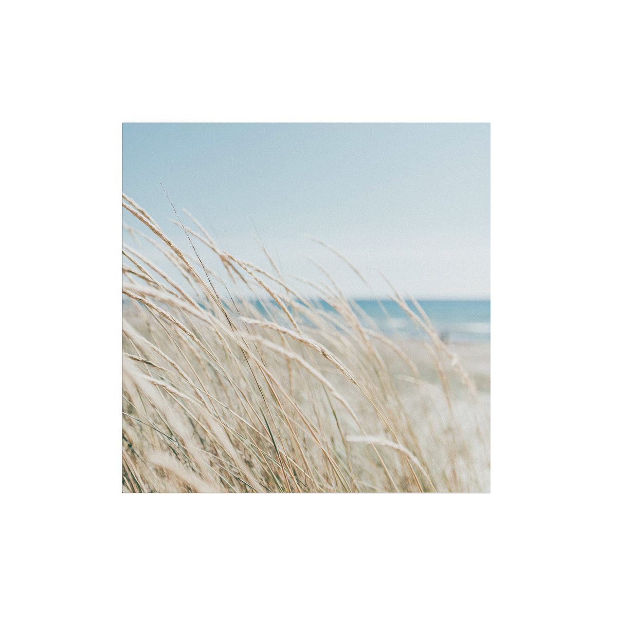 Art for the Home Buitencanvas Strand