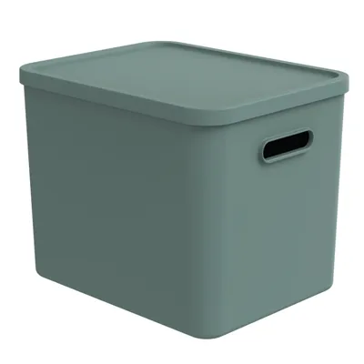 Rotho MyPet Multibox C4 Albula