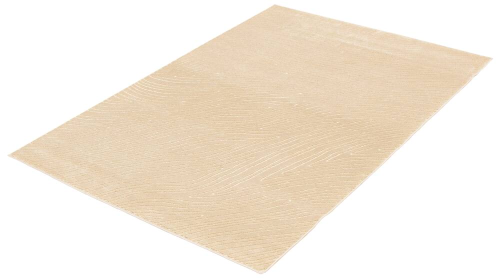ECARPET Vector Indoor Area Rug, Ivory, Assorted Sizes
