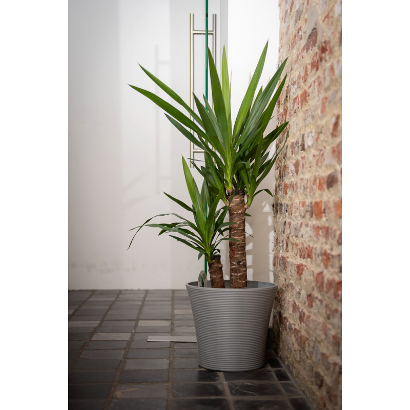 Pot Green Care Sense avec réservoir d'eau anthracite Ø 30 x 27 cm