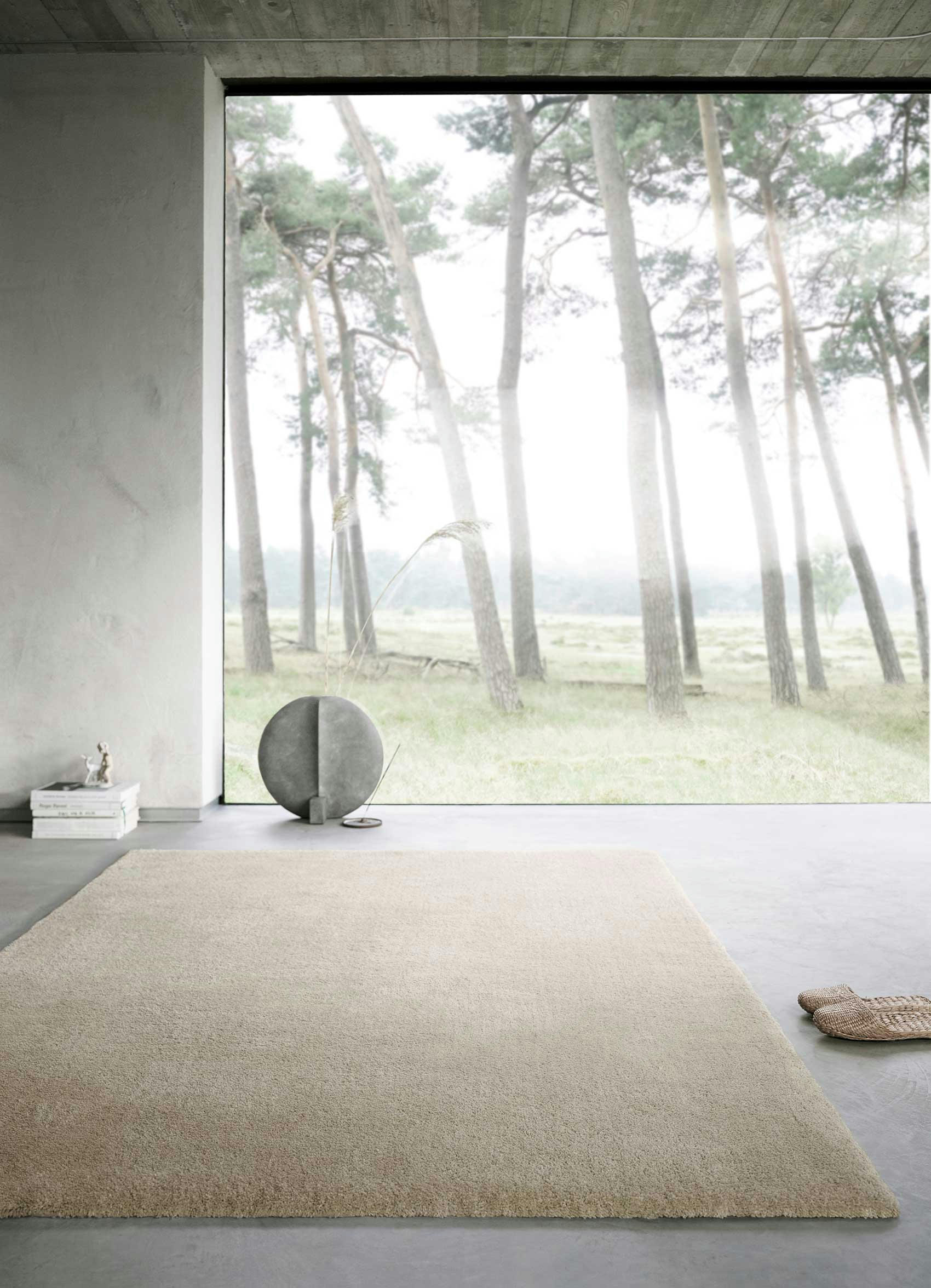 EMILIA - Tapis poils longs douces microfibre beige grisé 120x170