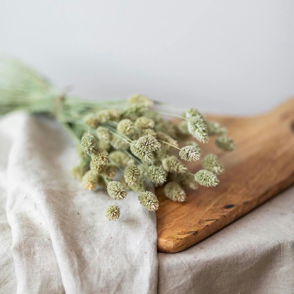 - Botte Phalaris naturel