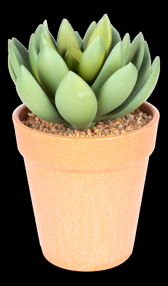 Naturae Décor Artificial Indoor Echeveria Plant in Terra Cotta Pot, 6-in