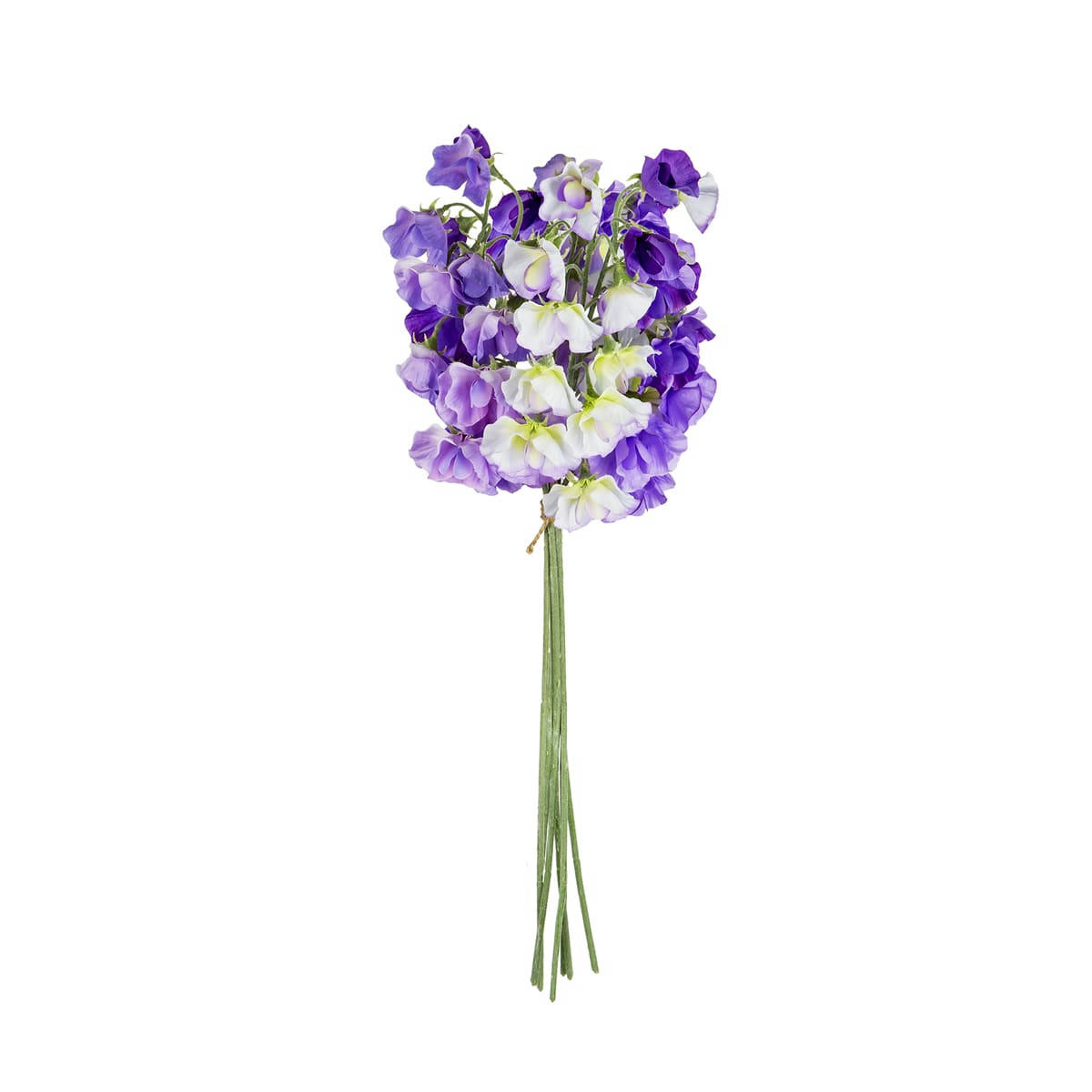 - Bouquet de pois de senteur