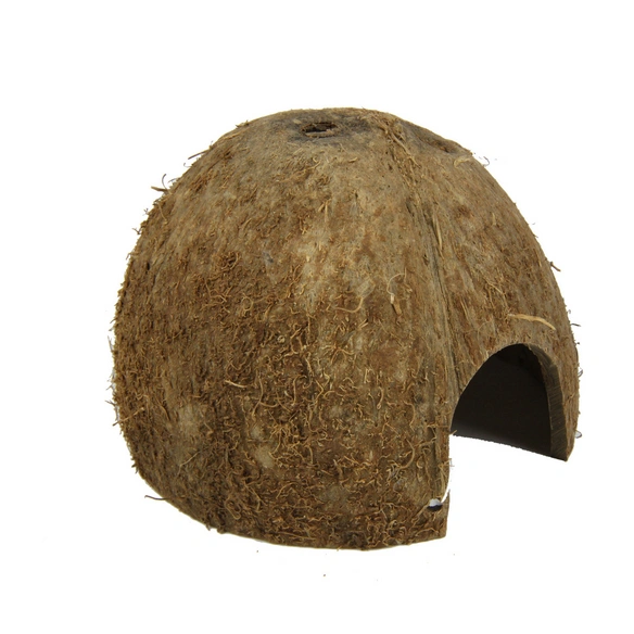 Dekoration »Cocos Cava «, 1/2M, braun