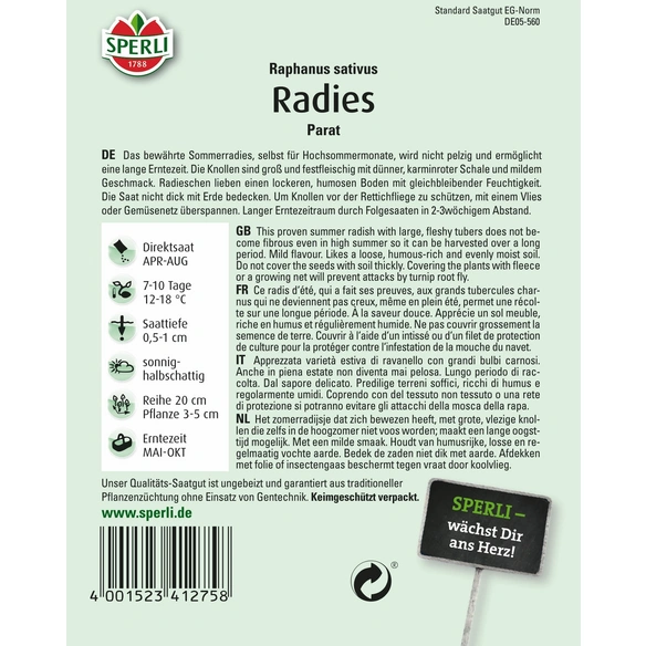 Radies »Parat«, bewährte, milde Sommersorte, lange Erntezeit