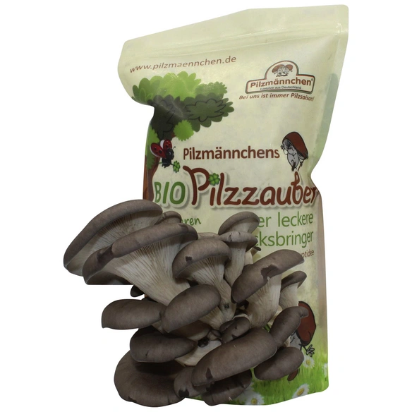 Pilzzuchttüte Bio Austernpilz, 500 g
