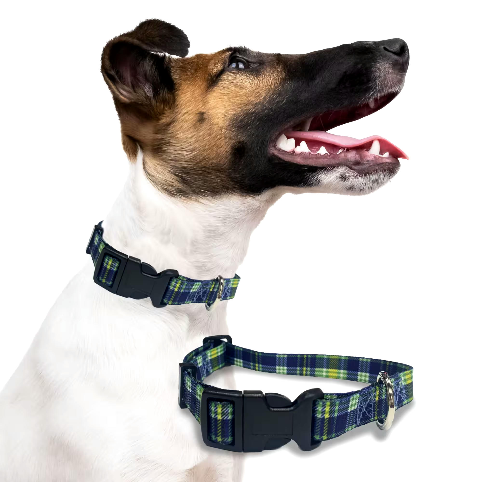 Perri's Premium Adjustable Pet Collar, Plaid
