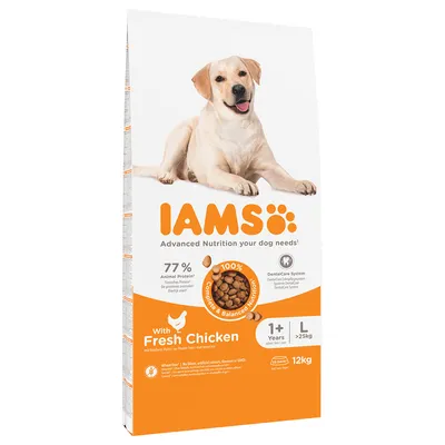 IAMS Advanced Nutrition Adult Large Dog - Chicken