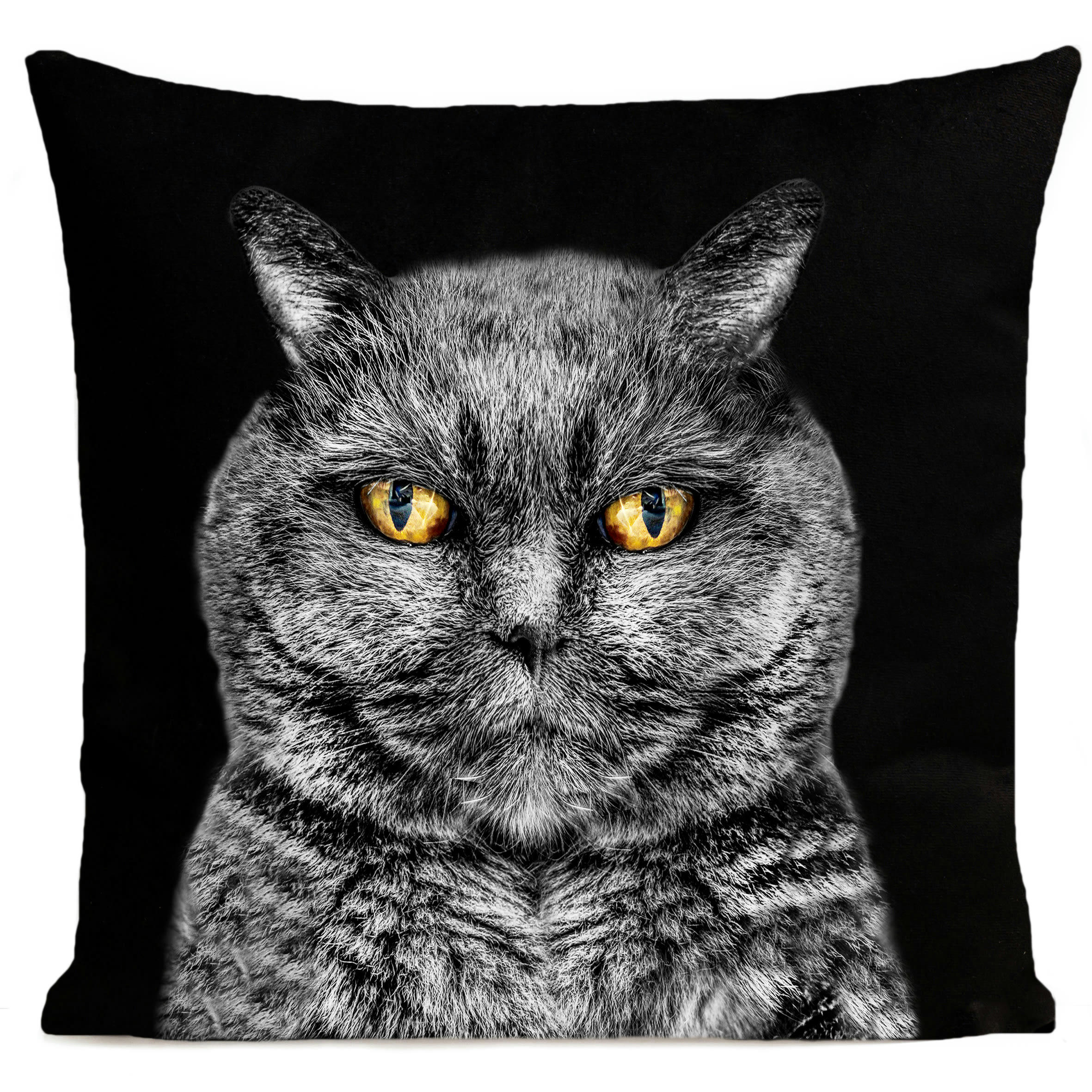 - Coussin chat suédine noir 40x40cm