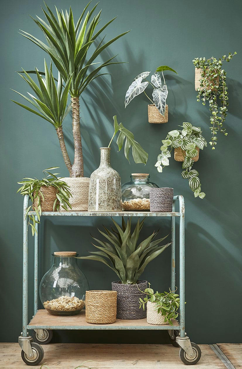 - Yucca artificielle en pot H120