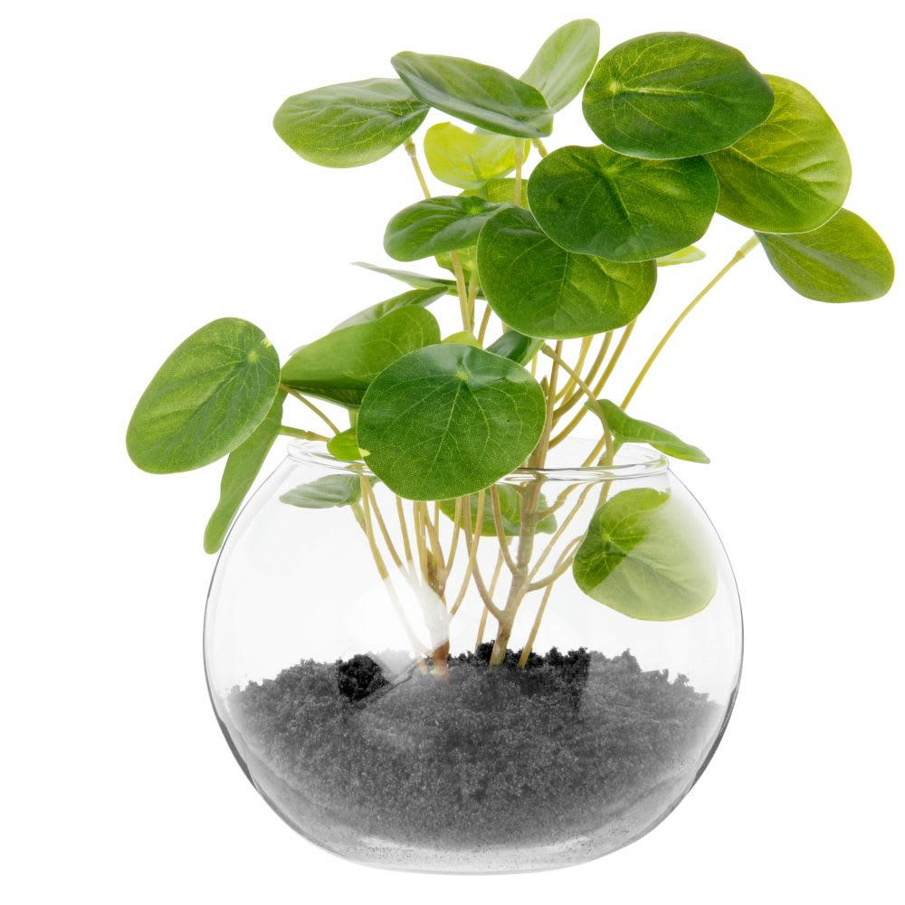 - Eucalyptus artificiel pot en verre