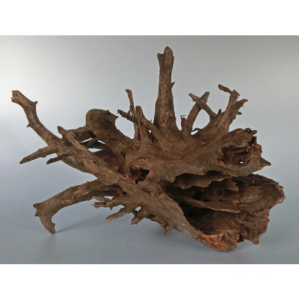 Aquariendekoration, Corbo-Wurzel Medium, Holz, braun