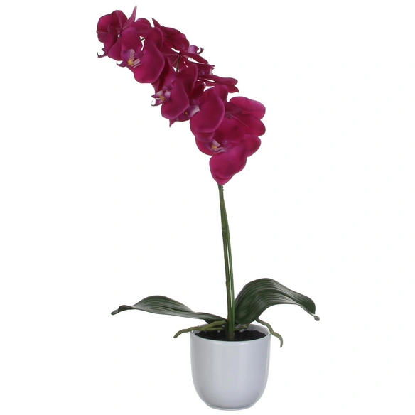 Kunstpflanze, Phalaenopsis Orchidee, violett