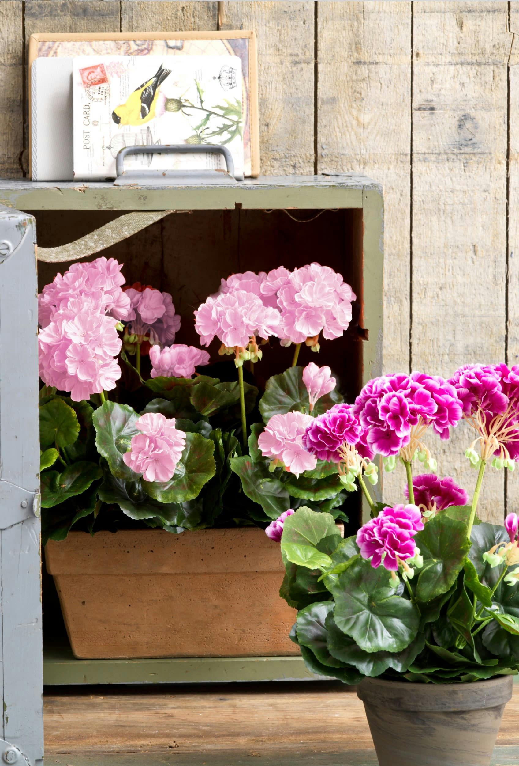 - Géranium artificielle rose en pot H40