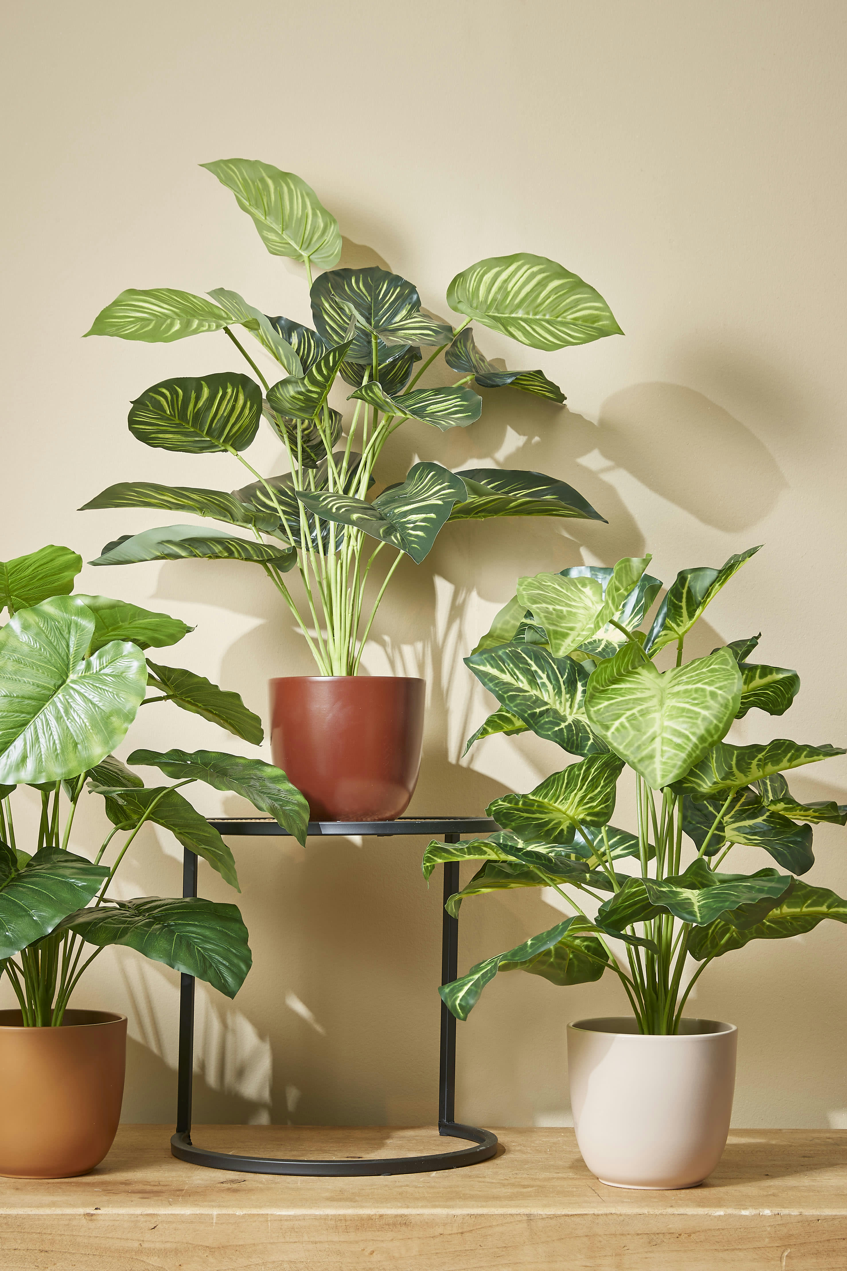 - Caladium artificielle vert en pot H100