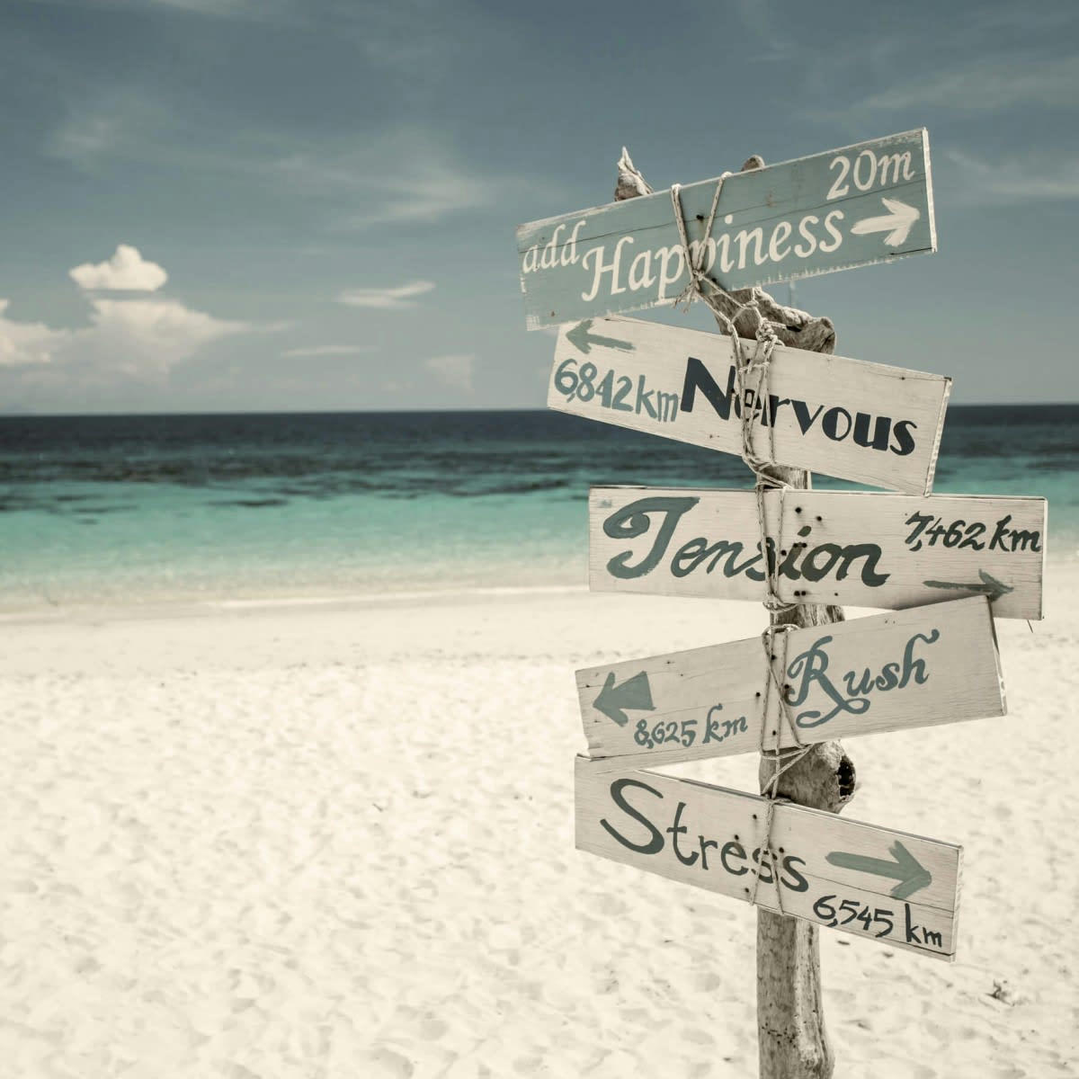 PANNEAU - Tableau sur toile panneau amusant 45x45 cm