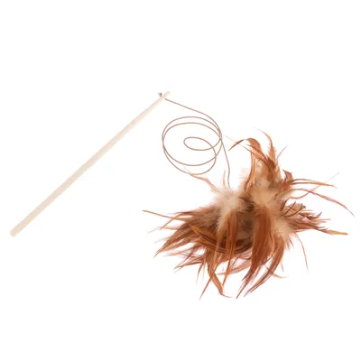 TIAKI Cat Fishing Rod with Feathers