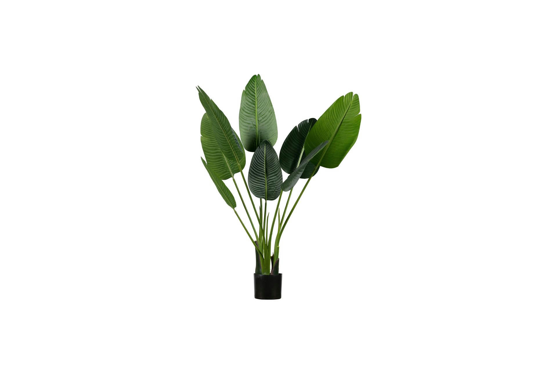 STRELITZIA - Plante artifcielle H108