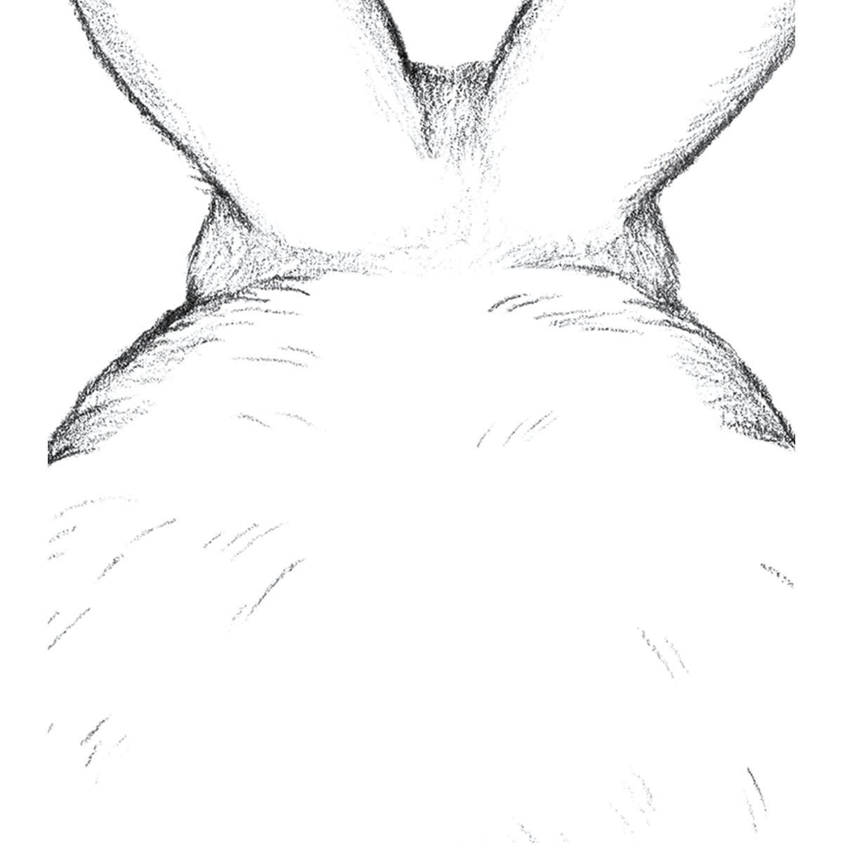 BUNNY - Affiche lapin dos en Papier Blanc