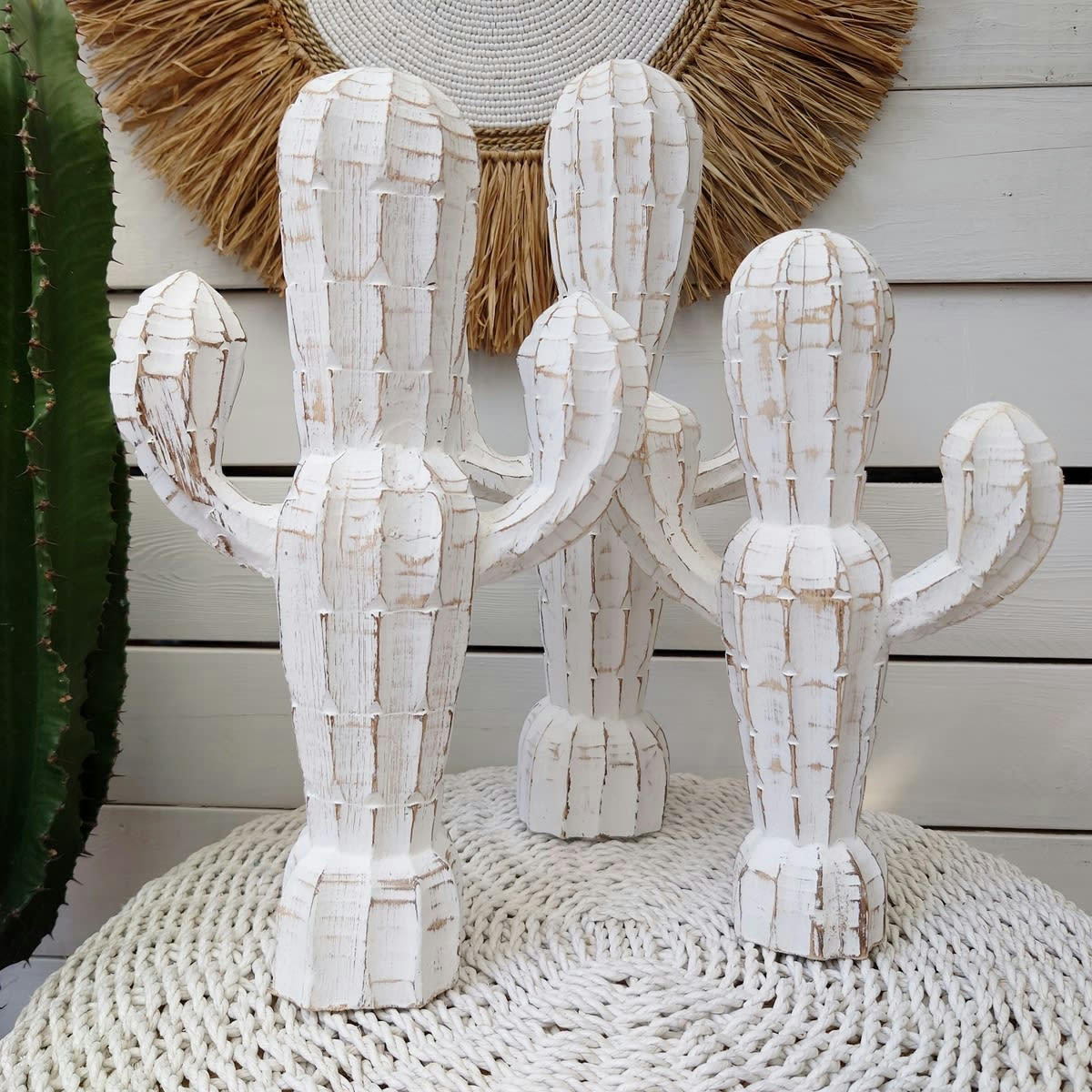 ZARA - Cactus en bois sculpté, blanc - Lot de 3