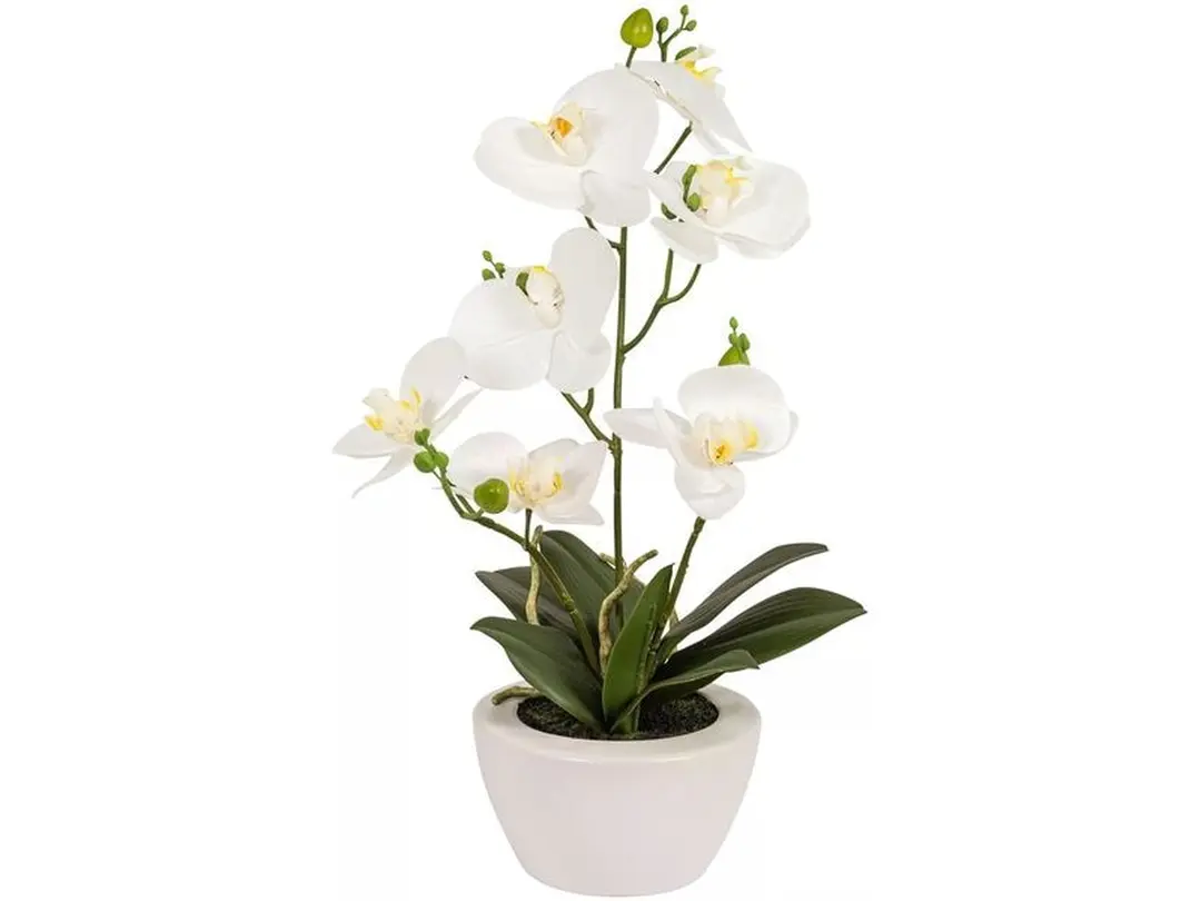 Kunstpflanze 6er-Set Botanic-Haus